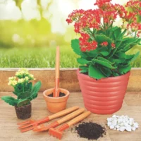 JUEGO DE JARDIN X4 TRAMONTINA - Imagen 5