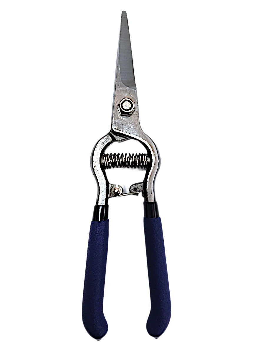 TIJERA PARA PODAR 8 PUNTA RECTA